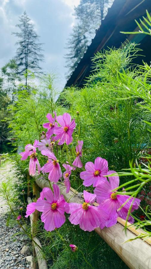 Himtrek Riverside Camps, Kasol Exterior foto
